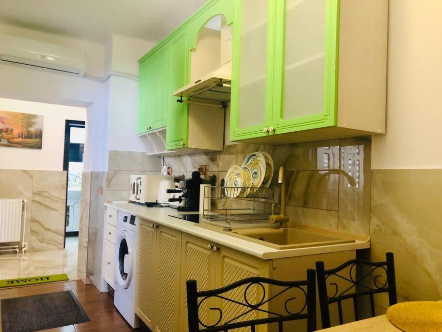 דירה Joy Sadoveanu 1&2