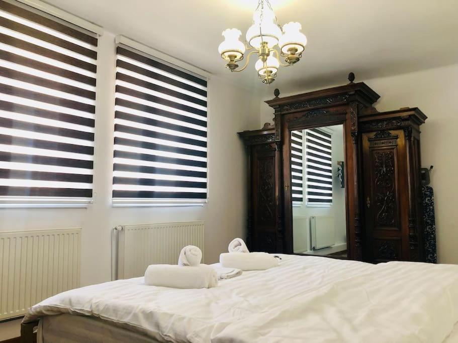 Apartment Joy Sadoveanu 1&2 *